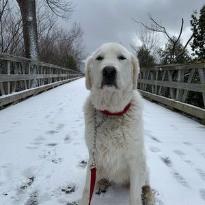 Meet your Posher, Amélie